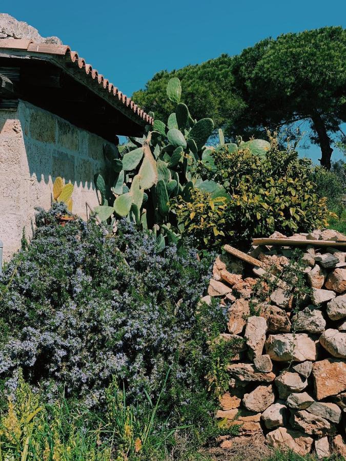 阿利斯泰 Trullo Contrada Stracca旅馆 外观 照片